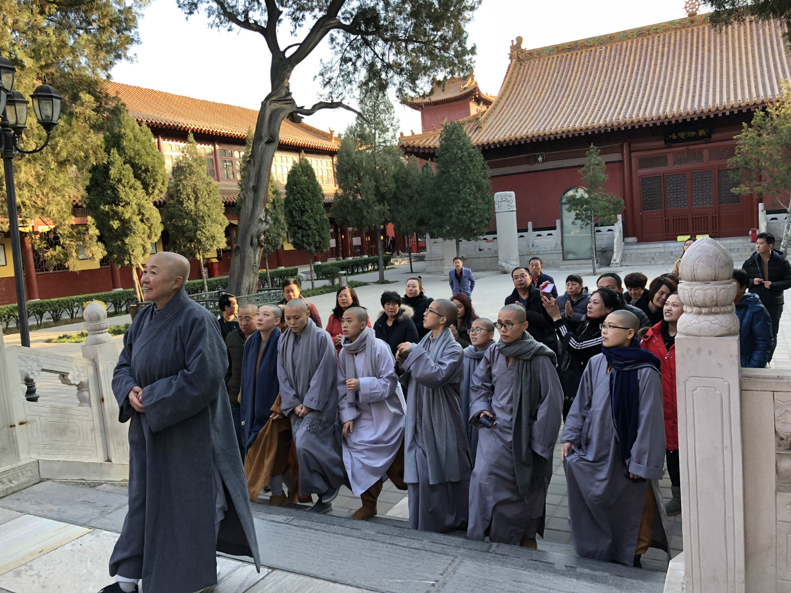 江苏佛学院慈恩学院(筹)女众部研究生参学第一站——柏林禅寺
