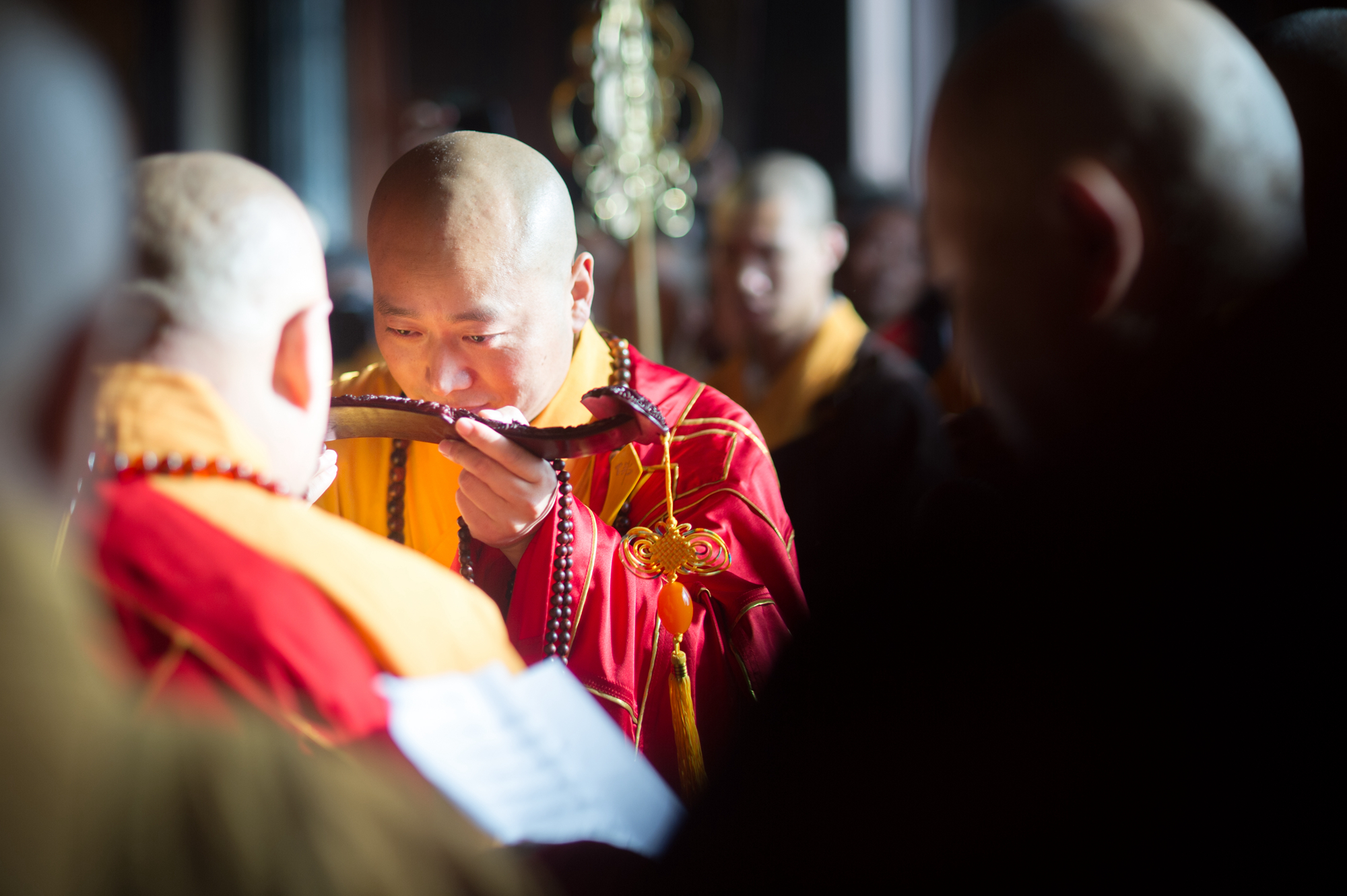 灵山大佛开光十九周年暨普俊法师升座庆典