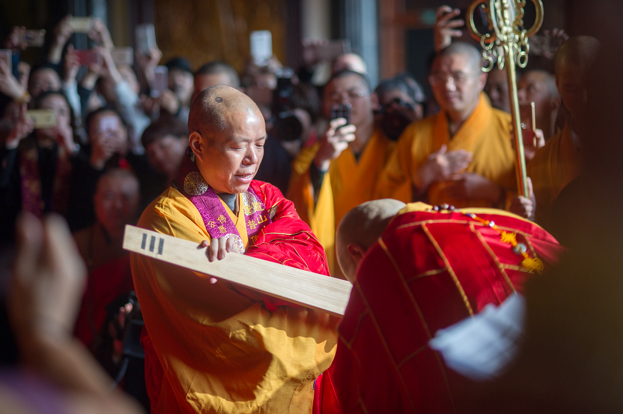 灵山大佛开光十九周年暨普俊法师升座庆典